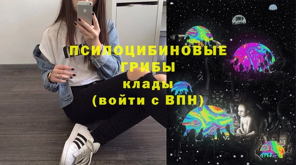 бошки Арсеньев