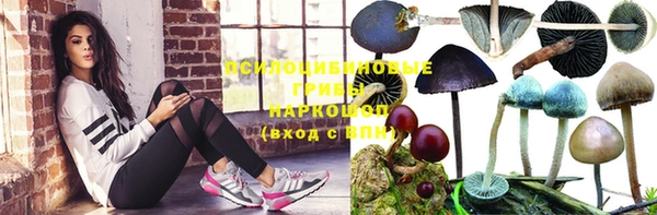 jwh Алзамай