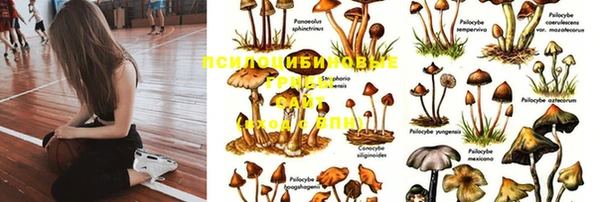 кокаин Аркадак