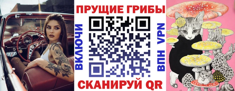 где купить наркотик  мориарти Telegram  Галлюциногенные грибы ЛСД  Приморско-Ахтарск 